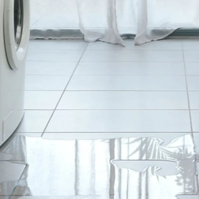 Appliance Leak Cleanup in Avon Center, OH