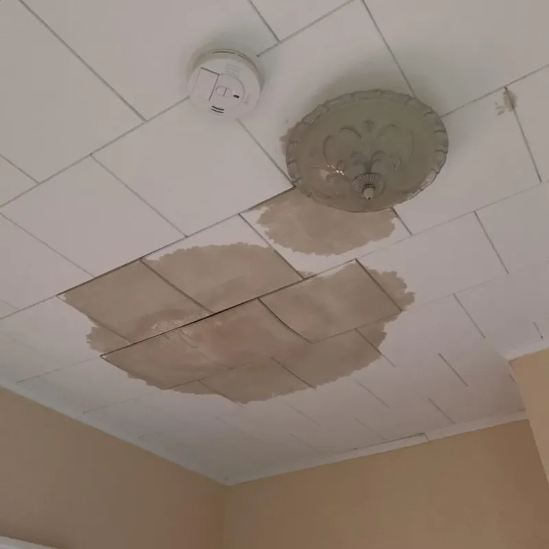 Ceiling Water Damage Repair in Avon Center, OH