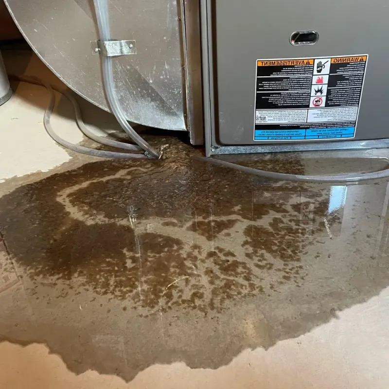 Pipe Burst and Leak Restoration in Avon Center, OH
