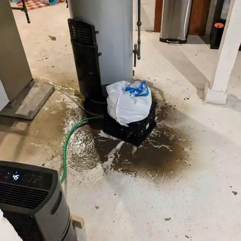 Sewage Backup Cleanup Service in Avon Center, OH